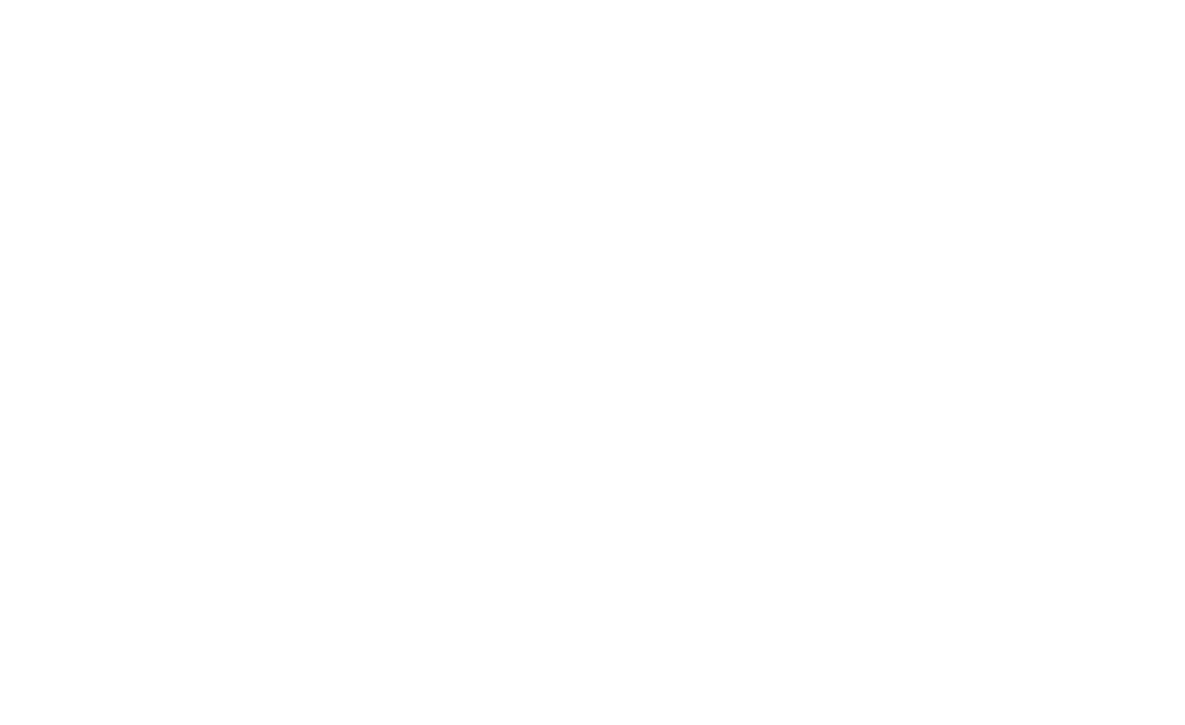 crazy pizza